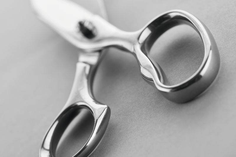 Kitchen Shears 21-cm | 8-inch