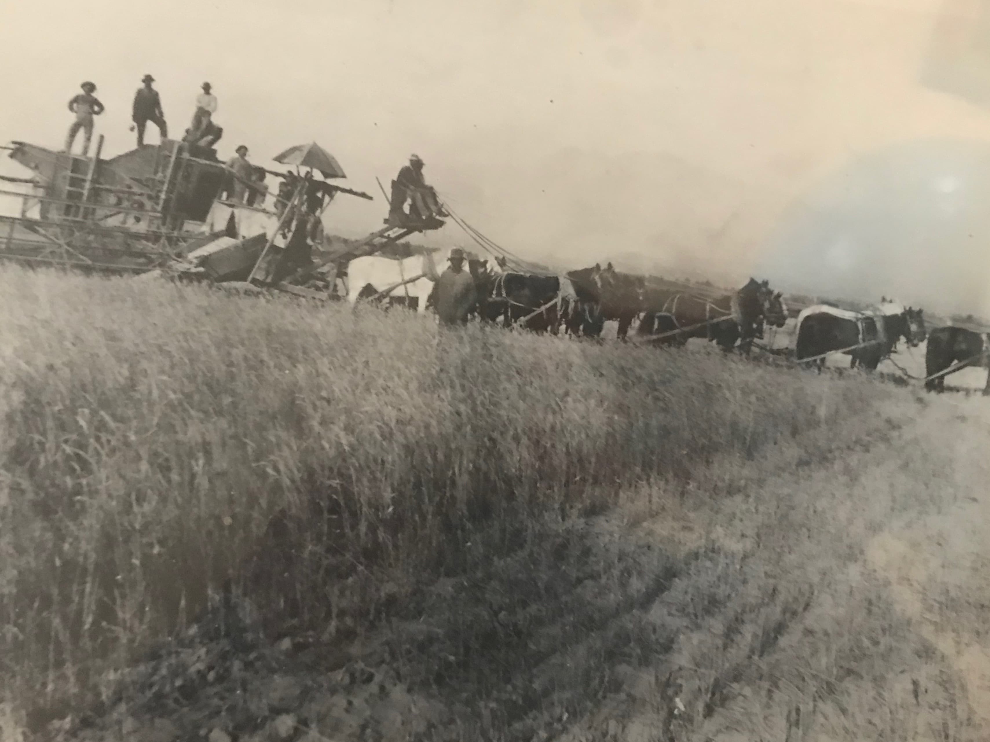 ranch to table antique image