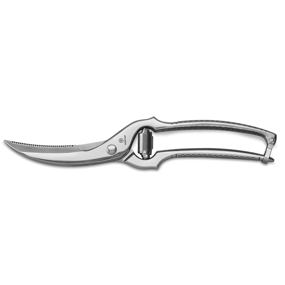 Stainless Poultry Shears 25-cm | 10-inch