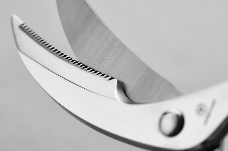 Stainless Poultry Shears 25-cm | 10-inch