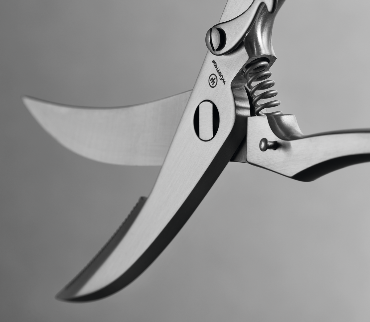 Poultry Shears 24-cm | 9-inch