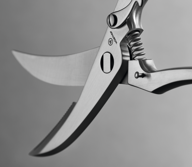 Poultry Shears 24-cm | 9-inch